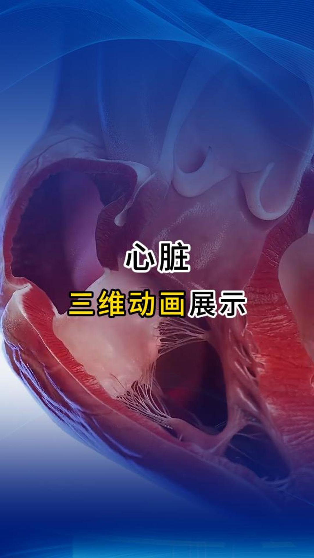来自心脏的告白！医疗三维动画-三维动画制作公司-DB旗舰科技