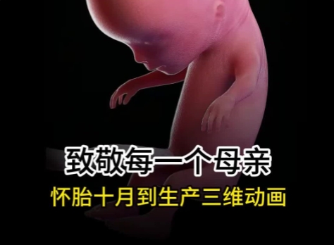 女子本弱，为母则刚，致敬伟大的母亲们！DB旗舰科技-孕期三维动画定制