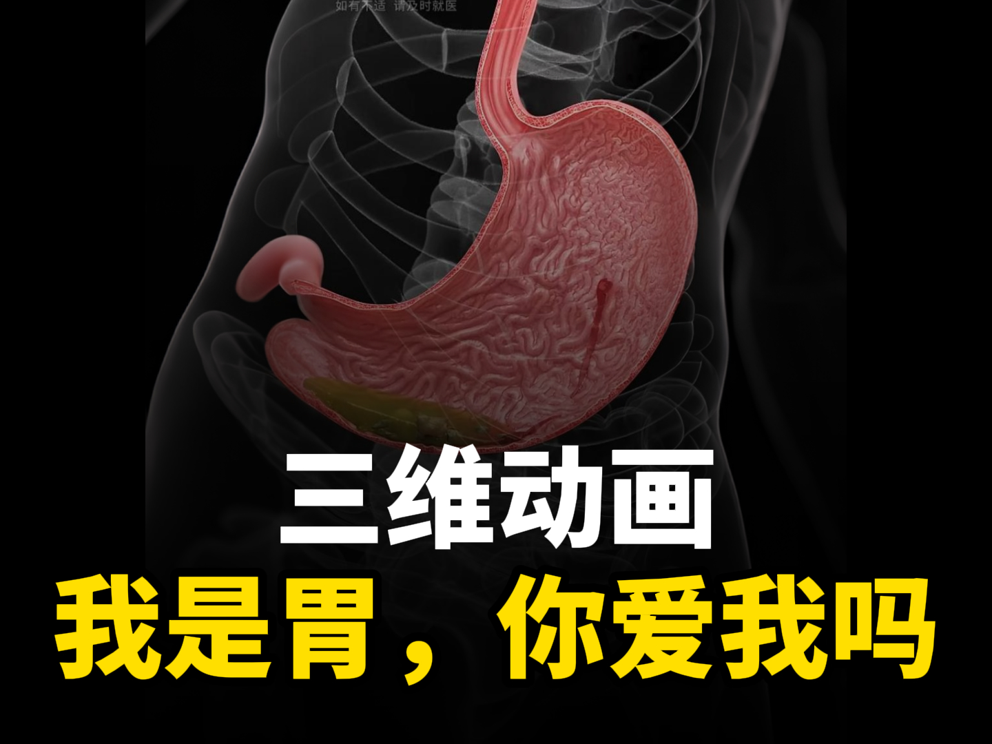 “您好，主人！”来自胃的告白！-人体三维动画定制-DB旗舰科技三维动画